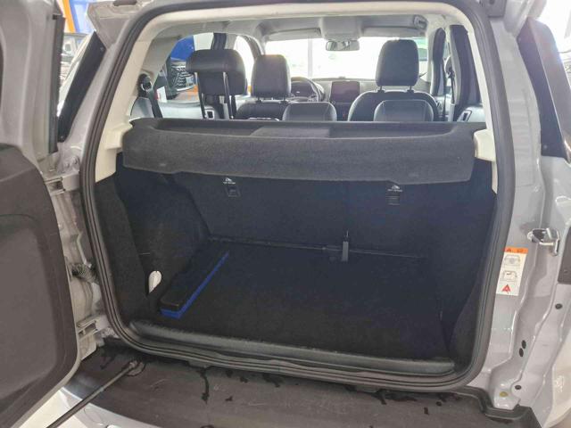 FORD EcoSport usata, con Fendinebbia