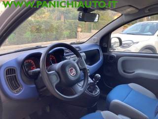 FIAT Panda usata, con Immobilizzatore elettronico