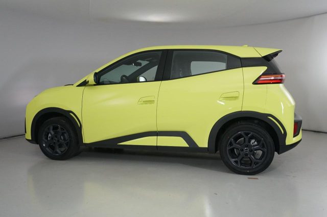 BYD Dolphin Surf usata, con Volante multifunzione