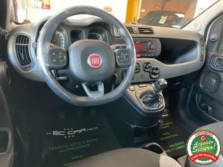 FIAT Panda usata, con Immobilizzatore elettronico