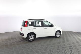 FIAT Panda usata 2