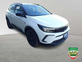 OPEL Grandland usata, con Cruise Control