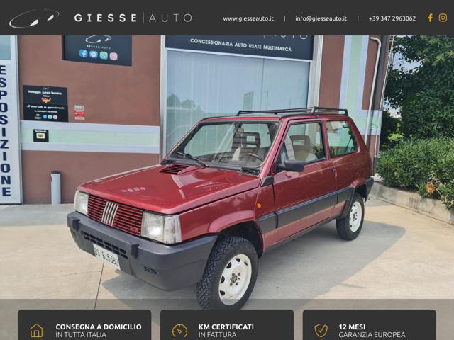 FIAT Panda usata, con Trazione integrale
