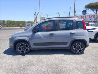 FIAT Panda usata, con Antifurto