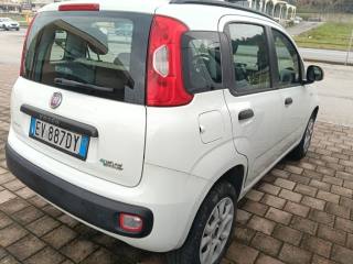 FIAT Panda usata, con Autoradio