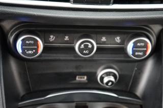 ALFA ROMEO Stelvio usata, con Fendinebbia