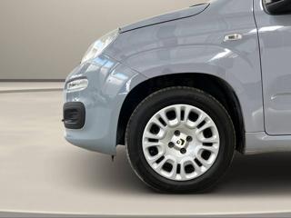 FIAT Panda usata, con Ruota di riserva