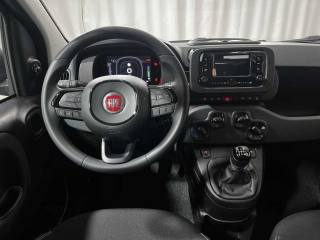 FIAT Panda usata, con Frenata d