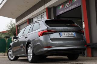 SKODA Octavia usata 117