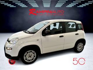 FIAT Panda usata 11