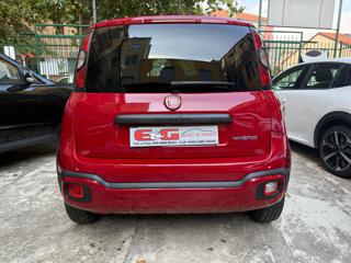 FIAT Panda Cross usata, con Chiusura centralizzata