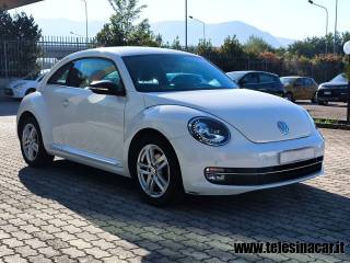VOLKSWAGEN Maggiolino usata, con Airbag Passeggero