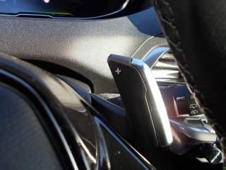 PEUGEOT 3008 usata, con Fendinebbia