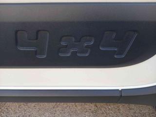 FIAT Panda usata, con Fendinebbia