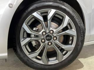 FORD Focus usata, con Servosterzo
