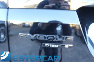 LAND ROVER Range Rover Evoque usata, con ESP