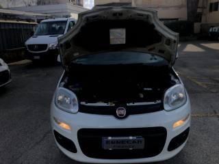 FIAT Panda usata 16