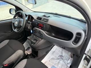 FIAT Panda usata 20