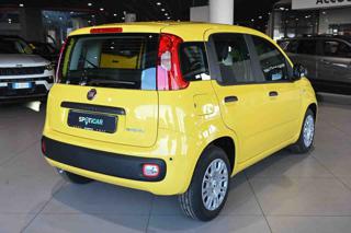 FIAT Panda usata, con Antifurto