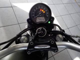 TRIUMPH Street Scrambler 900 usata 15