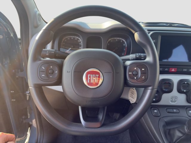 FIAT Panda usata 11