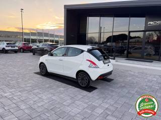 LANCIA Ypsilon usata, con Cronologia tagliandi