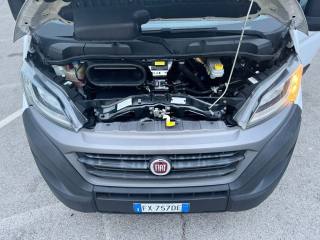 FIAT Ducato usata, con Limitatore di velocità