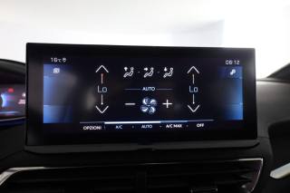 PEUGEOT 3008 usata 10