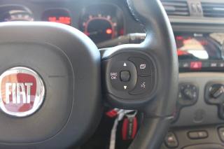 FIAT Panda usata 16
