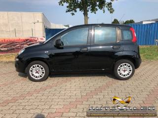 FIAT Panda usata, con Airbag Passeggero
