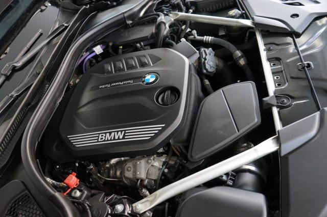 BMW 520 usata 58