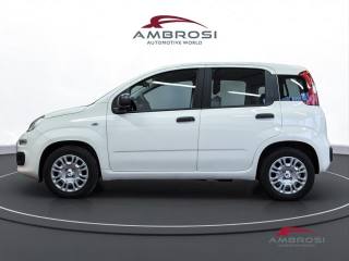 FIAT Panda usata 5