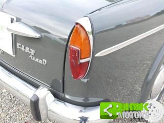 FIAT 1100 usata 29