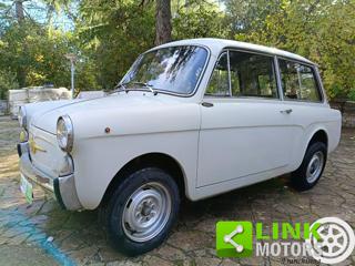 AUTOBIANCHI Bianchina usata 37