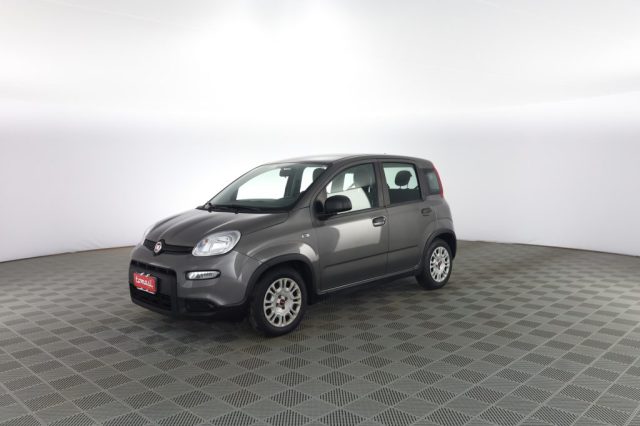 FIAT Panda usata 6