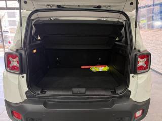 JEEP Renegade usata, con Volante in pelle