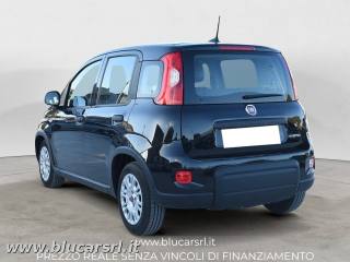 FIAT Panda usata 4