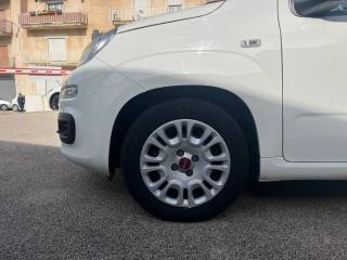 FIAT Panda usata 15