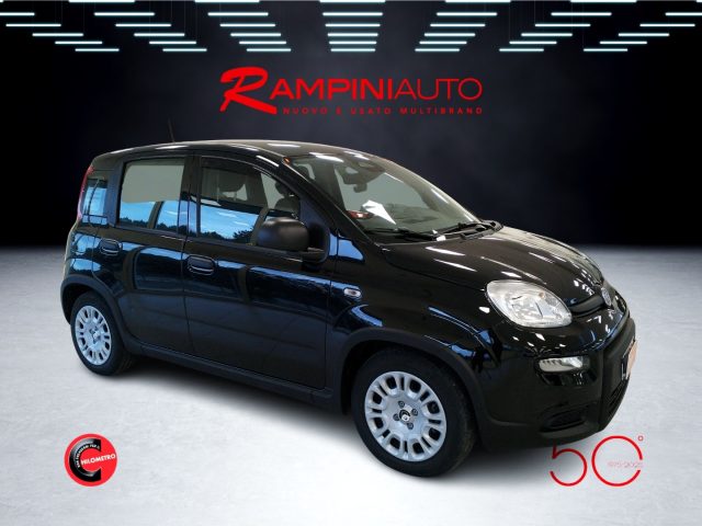FIAT Panda usata 5