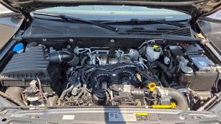 VOLKSWAGEN Amarok usata, con Trazione integrale