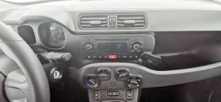 FIAT Panda usata 42