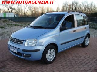 FIAT Panda usata 2