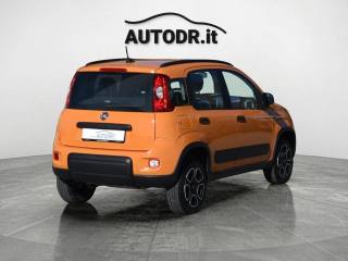 FIAT Panda usata 49