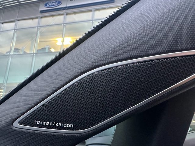 VOLKSWAGEN Golf usata, con Volante in pelle