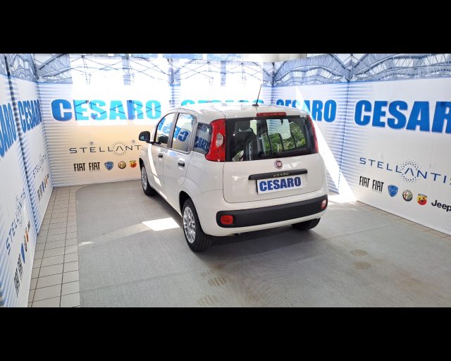 FIAT New Panda usata, con Alzacristalli elettrici