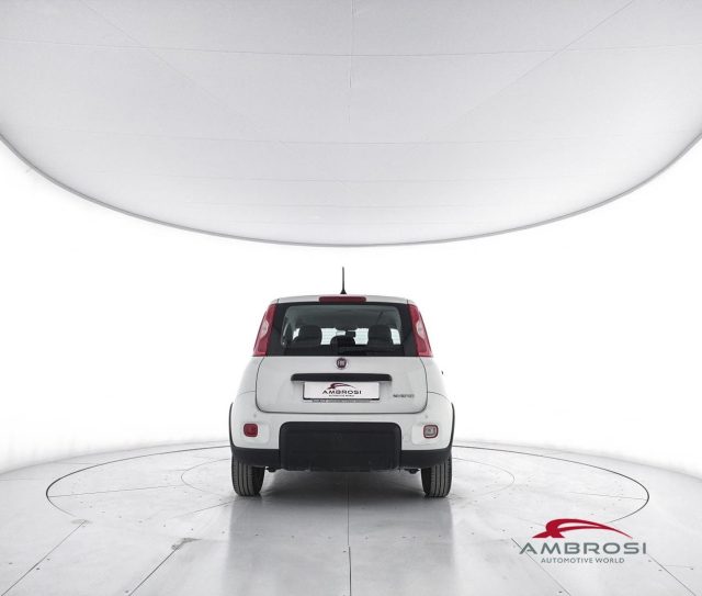 FIAT Panda usata 5