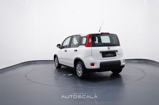 FIAT New Panda usata, con Alzacristalli elettrici