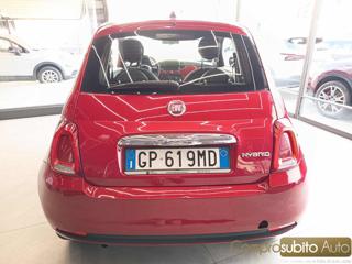 FIAT 500 usata 19