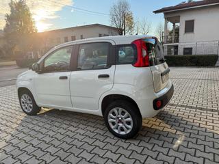 FIAT Panda usata, con Airbag Passeggero