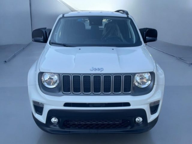 JEEP Renegade usata, con Climatizzatore